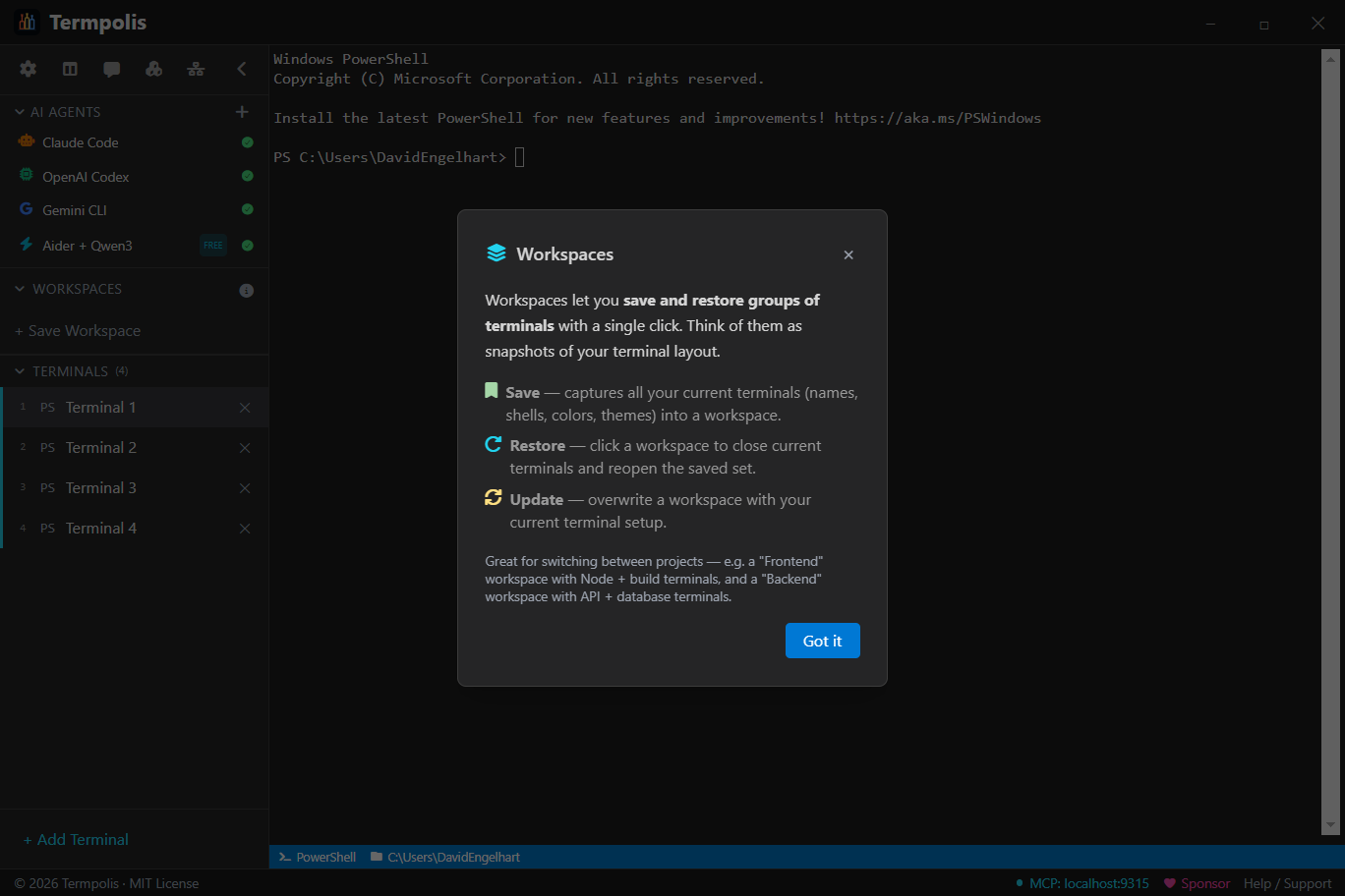 Termpolis workspaces info modal.
